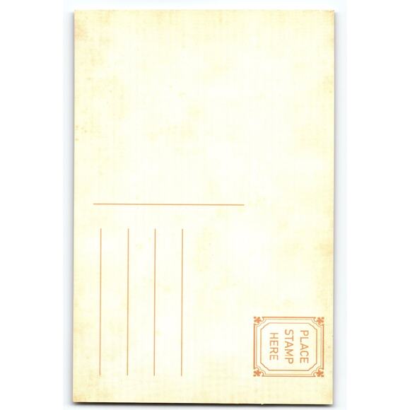 Halloween Ghost with Crows & Roses Photochrome Postcard 5.5x4 Chrome - Picture 2 of 2